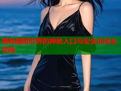 揭秘暗网世界的神秘入口与安全访问全攻略  第2张