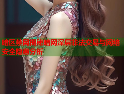 暗区禁网揭秘暗网深层非法交易与网络安全隐患分析  第1张
