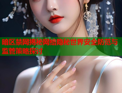 暗区禁网揭秘网络隐秘世界安全防范与监管策略探讨  第1张