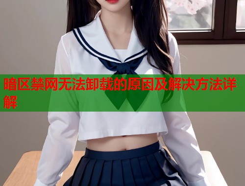 暗区禁网无法卸载的原因及解决方法详解  第1张