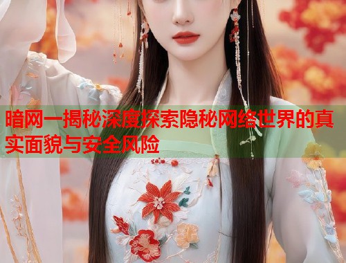 暗网一揭秘深度探索隐秘网络世界的真实面貌与安全风险  第1张