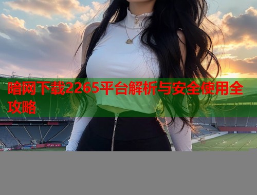 暗网下载2265平台解析与安全使用全攻略  第1张