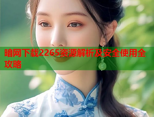暗网下载2265资源解析及安全使用全攻略  第1张