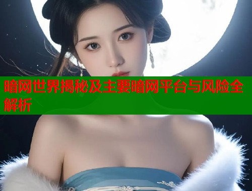 暗网世界揭秘及主要暗网平台与风险全解析  第1张