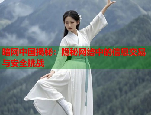 暗网中国揭秘：隐秘网络中的信息交易与安全挑战  第1张