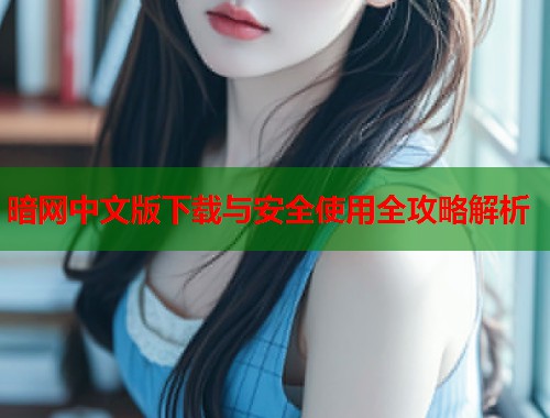 暗网中文版下载与安全使用全攻略解析  第2张