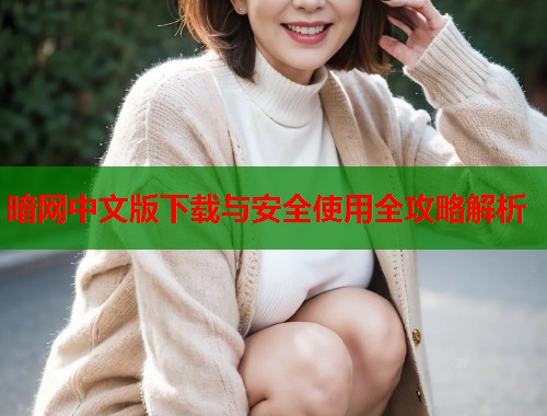 暗网中文版下载与安全使用全攻略解析  第1张
