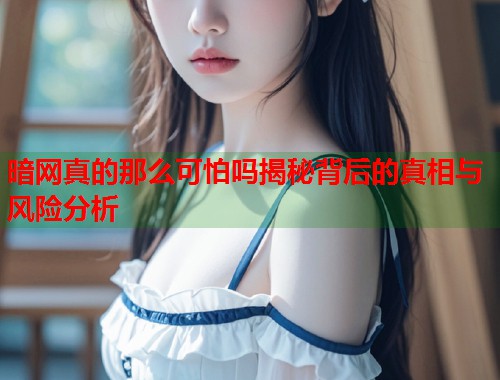 暗网真的那么可怕吗揭秘背后的真相与风险分析 第1张 暗网真的那么可怕吗揭秘背后的真相与风险分析 第1张