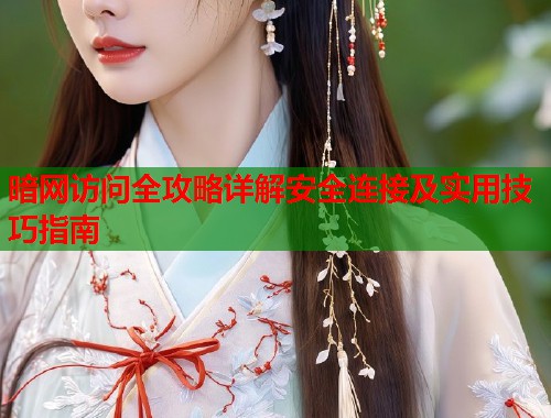 暗网访问全攻略详解安全连接及实用技巧指南 第1张 暗网访问全攻略详解安全连接及实用技巧指南 第1张