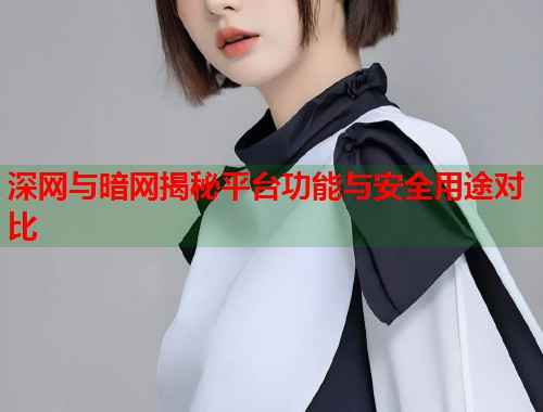 深网与暗网揭秘平台功能与安全用途对比 第1张 深网与暗网揭秘平台功能与安全用途对比 第1张