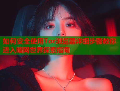 如何安全使用Tor浏览器详细步骤教你进入暗网世界探索指南 第2张 如何安全使用Tor浏览器详细步骤教你进入暗网世界探索指南 第2张