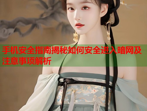 手机安全指南揭秘如何安全进入暗网及注意事项解析 第1张 手机安全指南揭秘如何安全进入暗网及注意事项解析 第1张