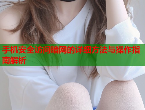手机安全访问暗网的详细方法与操作指南解析 第1张 手机安全访问暗网的详细方法与操作指南解析 第1张
