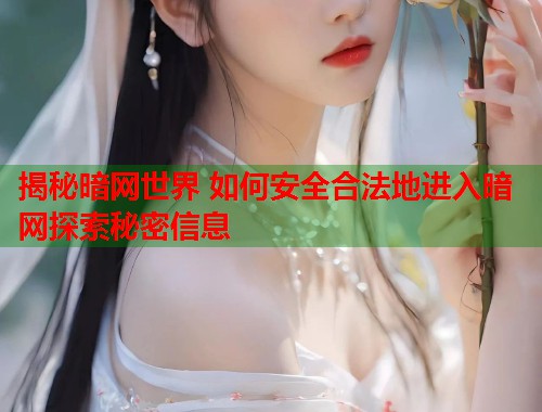 揭秘暗网世界 如何安全合法地进入暗网探索秘密信息 第1张 揭秘暗网世界 如何安全合法地进入暗网探索秘密信息 第1张