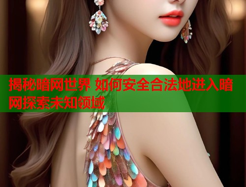 揭秘暗网世界 如何安全合法地进入暗网探索未知领域 第1张 揭秘暗网世界 如何安全合法地进入暗网探索未知领域 第1张
