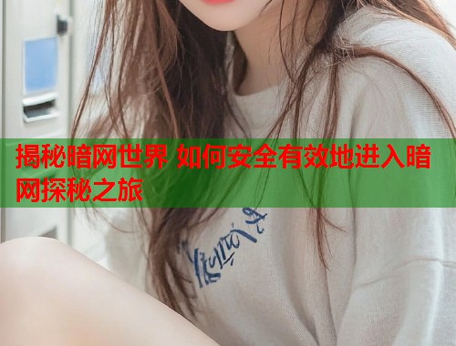 揭秘暗网世界 如何安全有效地进入暗网探秘之旅 第1张 揭秘暗网世界 如何安全有效地进入暗网探秘之旅 第1张