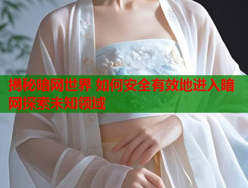 揭秘暗网世界 如何安全有效地进入暗网探索未知领域 第1张 揭秘暗网世界 如何安全有效地进入暗网探索未知领域 第1张