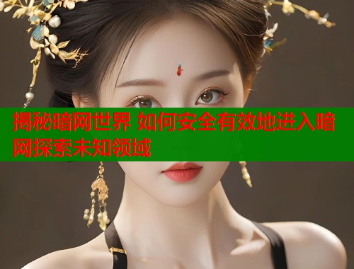 揭秘暗网世界 如何安全有效地进入暗网探索未知领域 第2张 揭秘暗网世界 如何安全有效地进入暗网探索未知领域 第2张