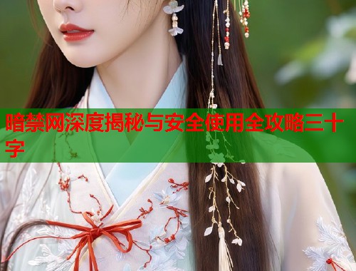 暗禁网深度揭秘与安全使用全攻略三十字 第1张 暗禁网深度揭秘与安全使用全攻略三十字 第1张