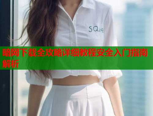 暗网下载全攻略详细教程安全入门指南解析 第1张 暗网下载全攻略详细教程安全入门指南解析 第1张