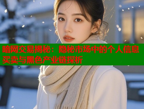 暗网交易揭秘:隐秘市场中的个人信息买卖与黑色产业链探析 第1张 暗网交易揭秘:隐秘市场中的个人信息买卖与黑色产业链探析 第1张