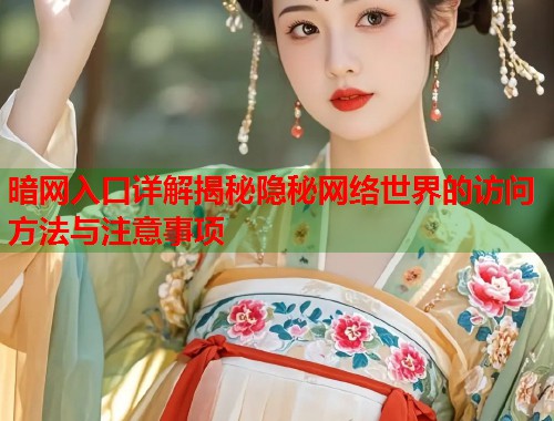 暗网入口详解揭秘隐秘网络世界的访问方法与注意事项 第2张 暗网入口详解揭秘隐秘网络世界的访问方法与注意事项 第2张