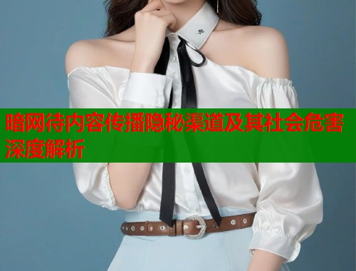 暗网待内容传播隐秘渠道及其社会危害深度解析 第1张 暗网待内容传播隐秘渠道及其社会危害深度解析 第1张