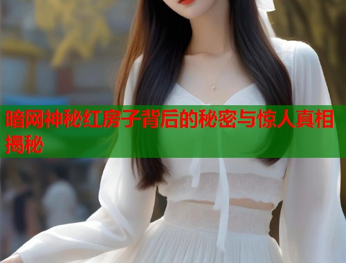 暗网神秘红房子背后的秘密与惊人真相揭秘 第1张 暗网神秘红房子背后的秘密与惊人真相揭秘 第1张