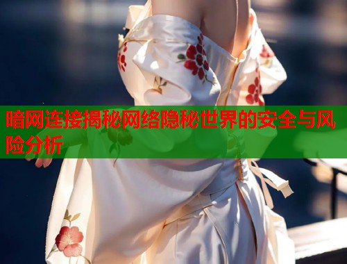 暗网连接揭秘网络隐秘世界的安全与风险分析 第1张 暗网连接揭秘网络隐秘世界的安全与风险分析 第1张