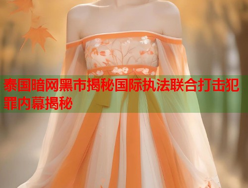 泰国暗网黑市揭秘国际执法联合打击犯罪内幕揭秘 第1张 泰国暗网黑市揭秘国际执法联合打击犯罪内幕揭秘 第1张