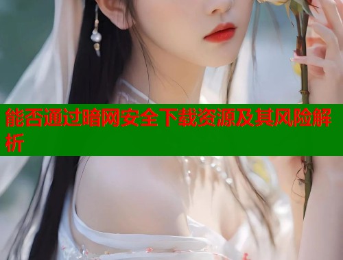能否通过暗网安全下载资源及其风险解析 第2张 能否通过暗网安全下载资源及其风险解析 第2张