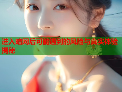 进入暗网后可能遇到的风险与真实体验揭秘 第1张 进入暗网后可能遇到的风险与真实体验揭秘 第1张