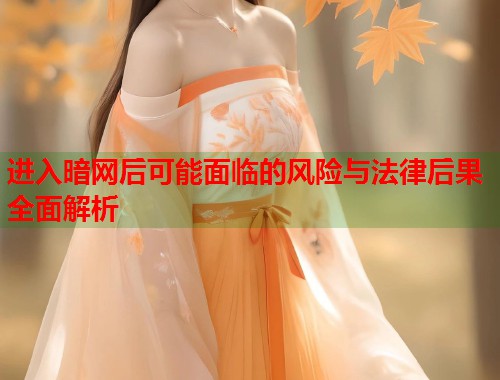 进入暗网后可能面临的风险与法律后果全面解析 第2张 进入暗网后可能面临的风险与法律后果全面解析 第2张