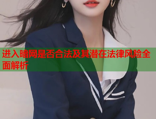 进入暗网是否合法及其潜在法律风险全面解析 第2张 进入暗网是否合法及其潜在法律风险全面解析 第2张